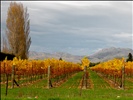 Marlborough, New Zealand